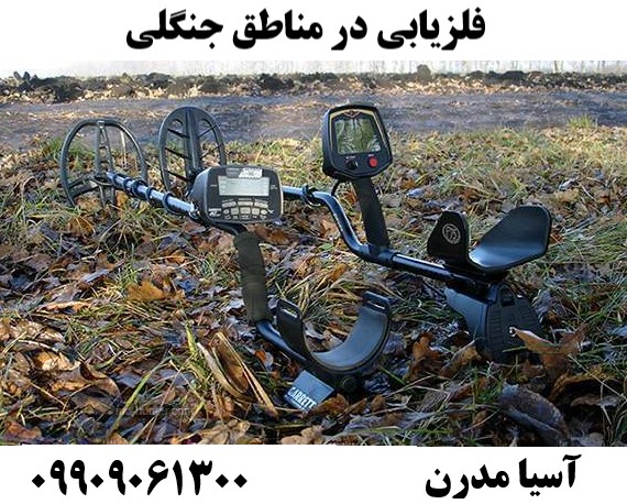فلزیابی در مناطق جنگلی09909061300