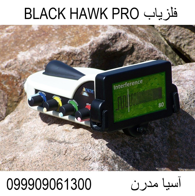 فلزیاب BLACK HAWK PRO 09909061300