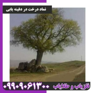 نماد درخت در دفینه یابی