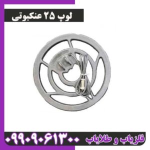 لوپ 25 عنکبوتی