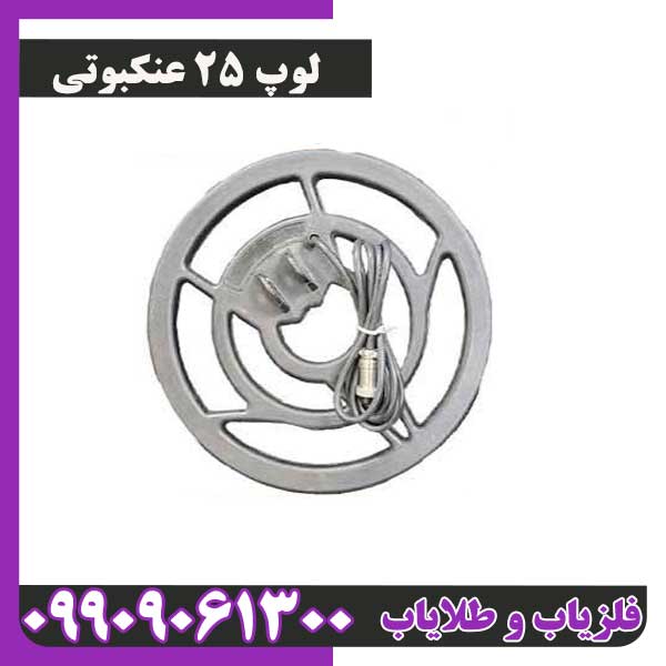 لوپ 25 عنکبوتی