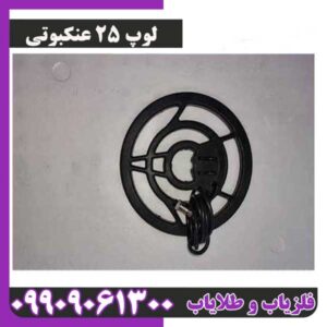 لوپ 25 عنکبوتی