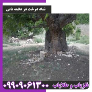 نماد درخت در دفینه یابی