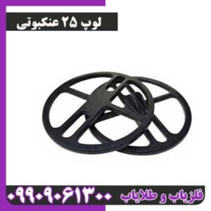 لوپ 25 عنکبوتی