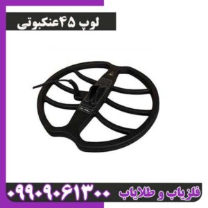 لوپ 45عنکبوتی