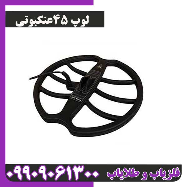لوپ 45عنکبوتی