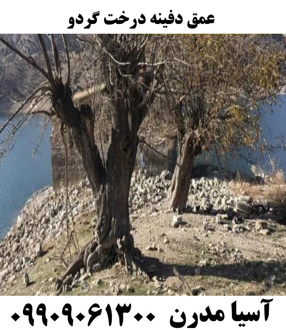 عمق دفینه درخت گردو09909061300