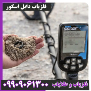 فلزیاب دابل اسکور