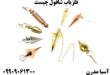 فلزیاب شاقول چیست
