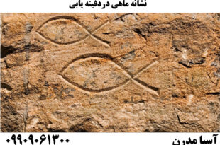 نشانه ماهی دردفینه یابی