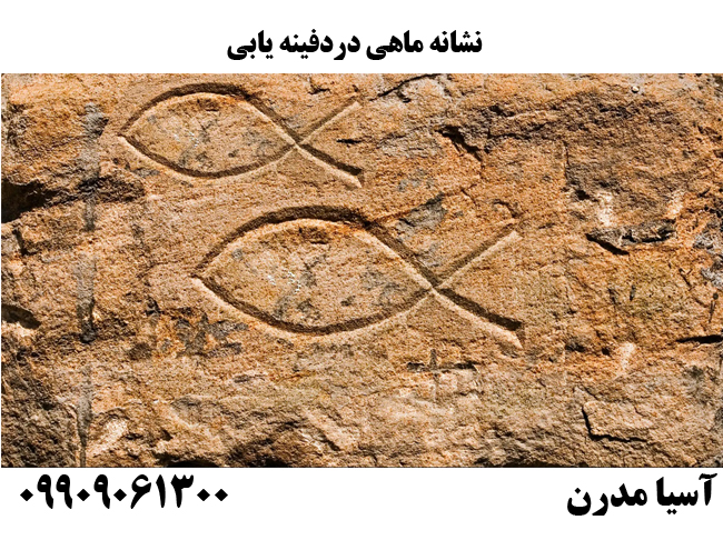 نشانه ماهی دردفینه یابی
