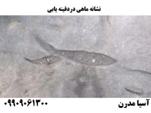 نشانه ماهی دردفینه یابی