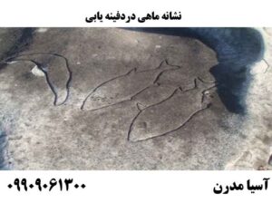نشانه ماهی دردفینه یابی