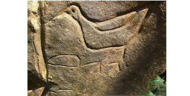 نشانه مرغ و جوجه در گنج یابی و دفینه یابی
