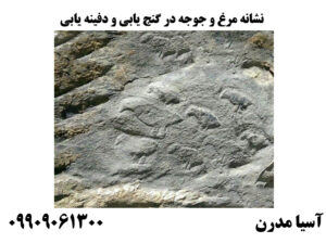 نشانه مرغ و جوجه در گنج یابی و دفینه یابی