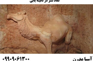 نماد شتر در دفینه یابی