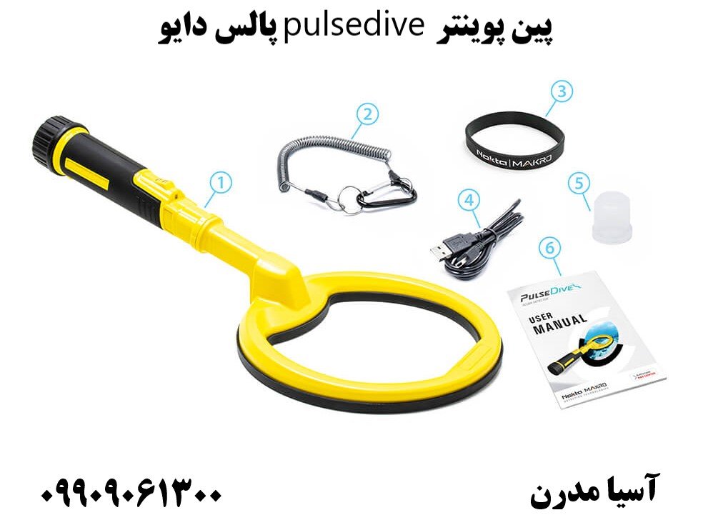 پین پوینتر pulsedive پالس دایو09909061300
